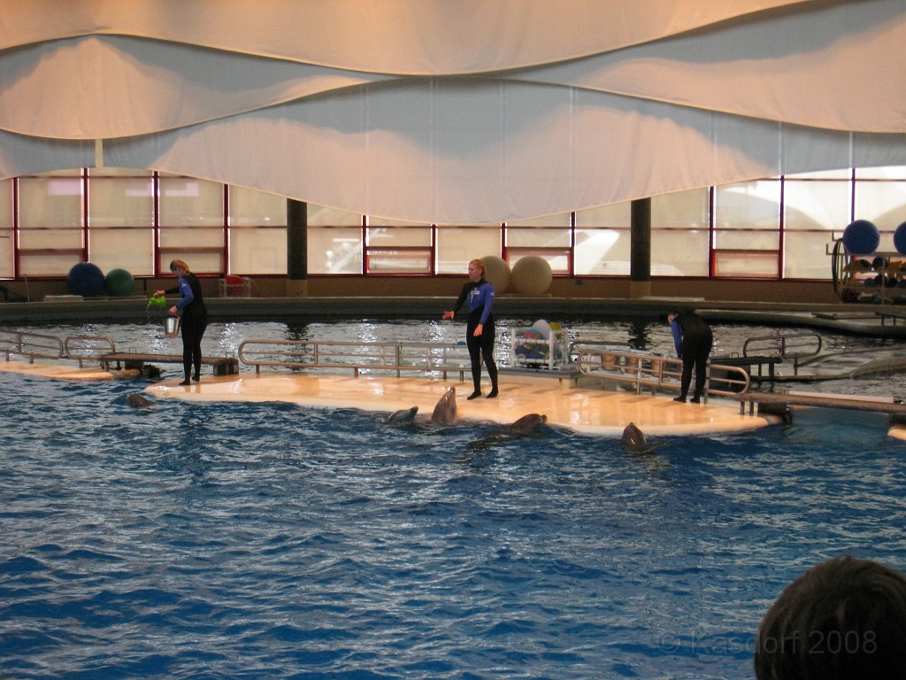 Baltimore MD 2009 1380.jpg - A 4th of July trip to Washington DC in 2009 included a stop in Baltimore MD to see the National Aquarium.